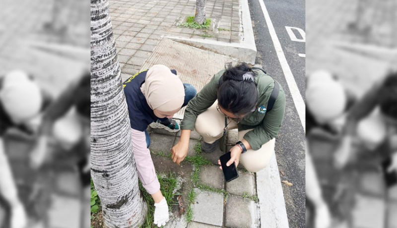 www.nusabali.com-burung-pipit-di-bandara-ngurah-rai-mati-akibat-tersambar-petir