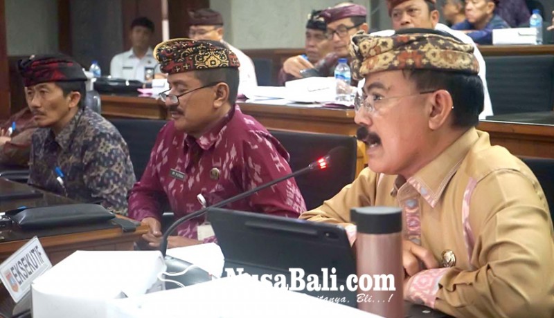 www.nusabali.com-calon-pppk-paruh-waktu-belum-bisa-pakai-komputer