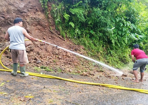 Nusabali.com - hujan-deras-picu-pohon-tumbang-longsor-dan-banjir