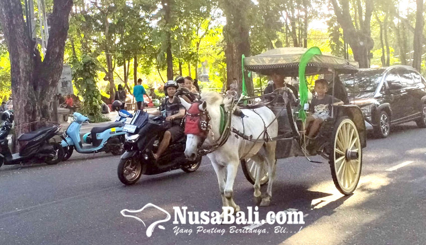 Nusabali Com Jumlah Pengguna Dokar Hias Di Denpasar Kian Meningkat