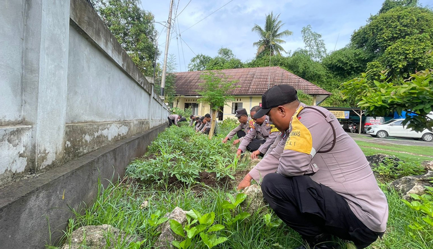 Polsek Nusa Penida Tanam Jagung