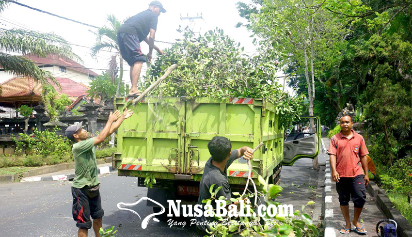 DLH Babat Pohon Perindang di Amlapura