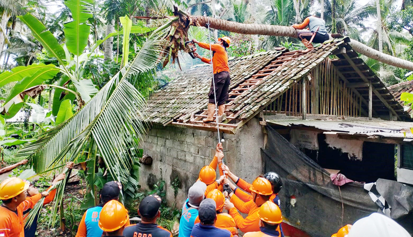 Pohon Tumbang Timpa Rumah dan Gudang