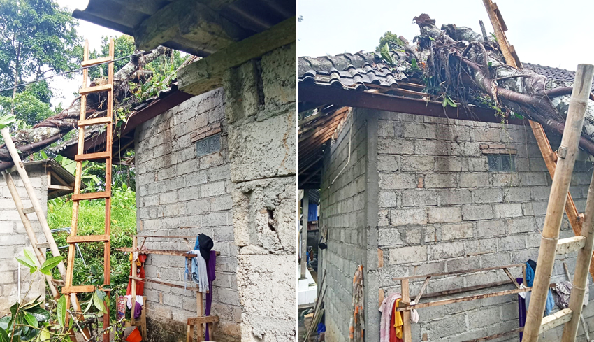 Pohon Tumbang Timpa Rumah dan Bengkel