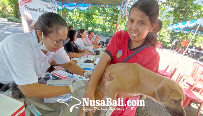 www.nusabali.com-vaksinasi-rabies-di-denpasar-sudah-sasar-74904-ekor-anjing