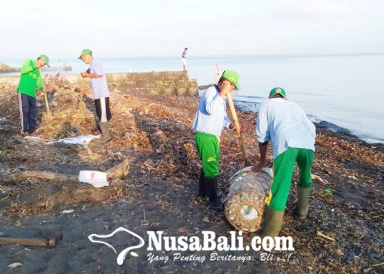 Nusabali.com - puluhan-tenaga-pantai-standby-tangani-sampah-kiriman