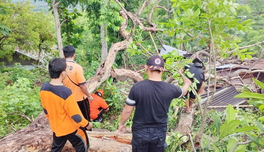 Dua Pohon Tumbang Timpa Rumah