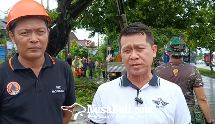 Ketua Komisi IV DPRD Bali Tinjau Pemangkasan Pohon