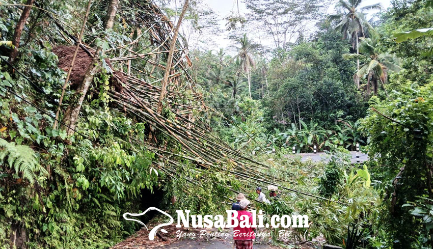 Rumpun Bambu Tutup Jalan Tegalalang-Jehem