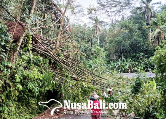 Nusabali.com - rumpun-bambu-tutup-jalan-tegalalang-jehem