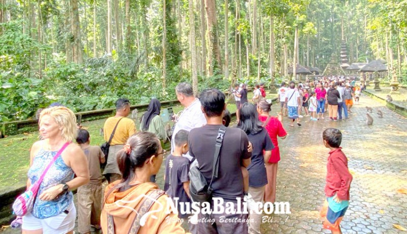 www.nusabali.com-musim-hujan-objek-wisata-sangeh-akan-berlakukan-buka-tutup