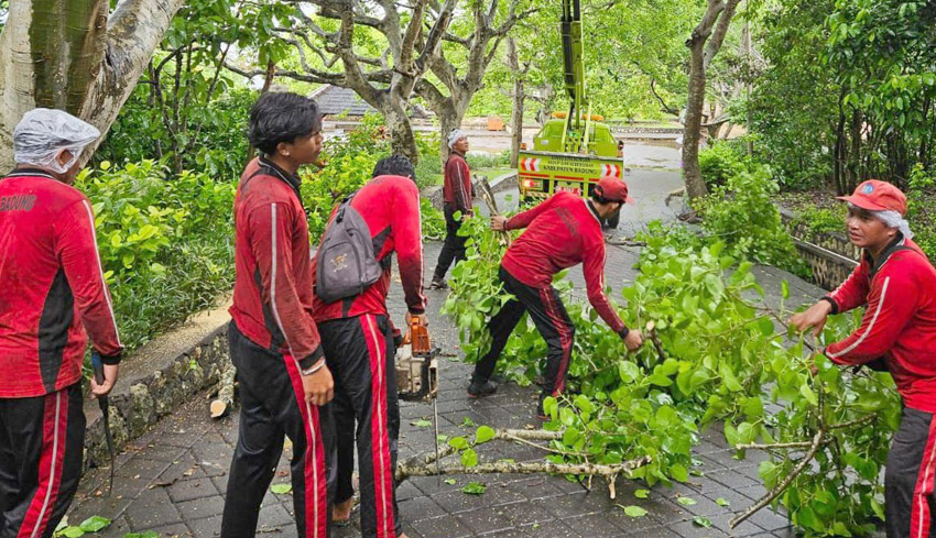 Antisipasi Cuaca Buruk, Pohon di Kawasan Uluwatu Dipangkas