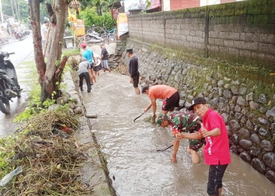 Nusabali.com - antisipasi-banjir-babinsa-bantu-pembersihan-saluran-irigasi