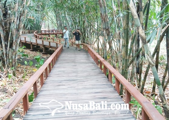 Nusabali.com - jembatan-kayu-spot-baru-wisata-penglipuran