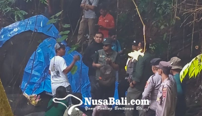 www.nusabali.com-gajah-moly-yang-hanyut-ditemukan-tersangkut-di-dam-tukad-cengcengan