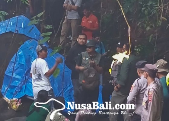 Nusabali.com - gajah-moly-yang-hanyut-ditemukan-tersangkut-di-dam-tukad-cengcengan