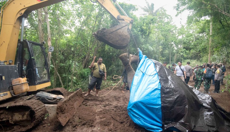 www.nusabali.com-gajah-moly-ditemukan-tak-bernyawa