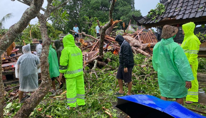 www.nusabali.com-bpbd-berhasil-evakuasi-pohon-tumbang-di-nusa-penida