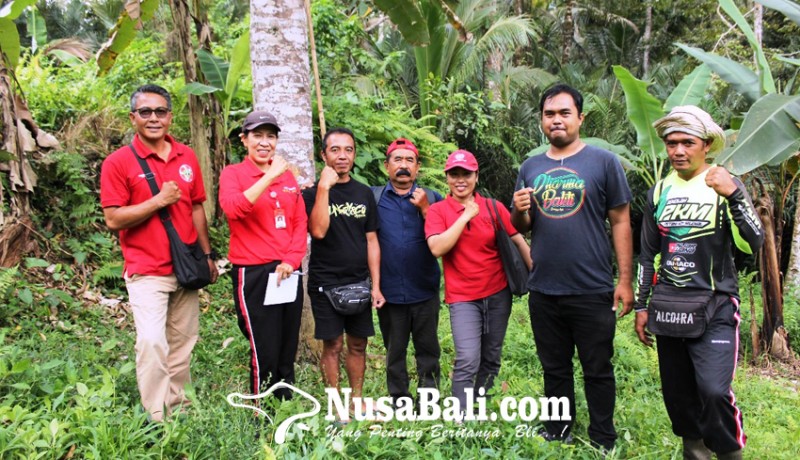 www.nusabali.com-kaji-pembentukan-kawasan-desa-buah-tabanan-optimalkan-potensi-buah-lokal