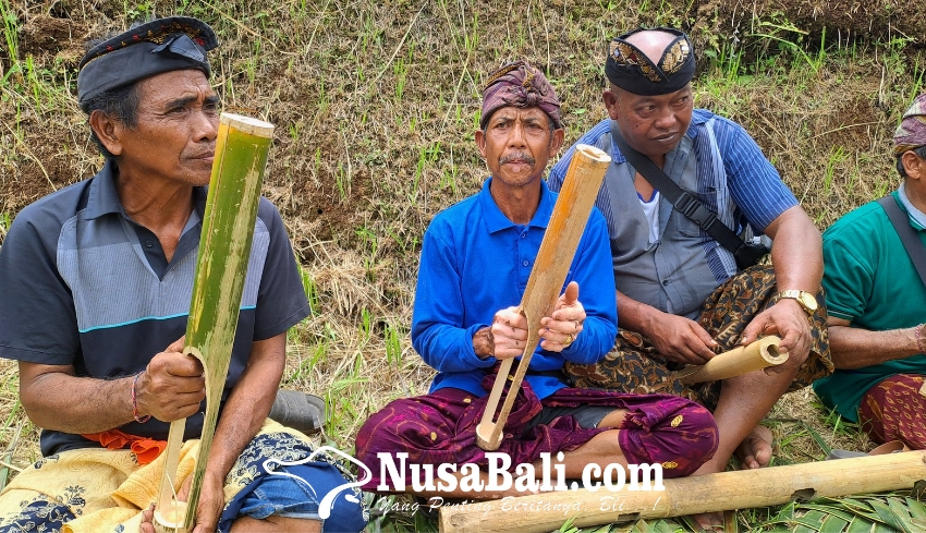 Mengenal Kapuakan, Mainan Tradisional Pengusir Burung dari Subak Jatiluwih