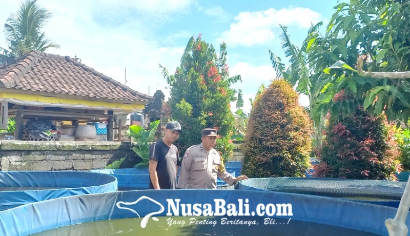 www.nusabali.com-polsek-blahbatuh-gelorakan-pemanfaatan-lahan-pekarangan