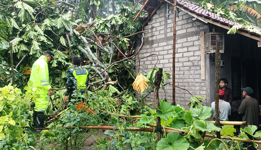 Hujan Deras, Tembok Pustu dan 2 Rumah Warga Rusak