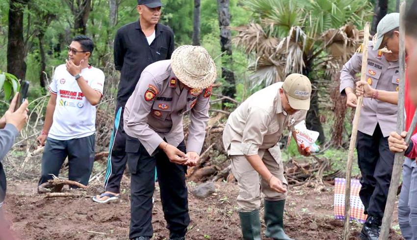 Cegah Krisis Pangan, Distan Tanam Jagung 1.038 Ha