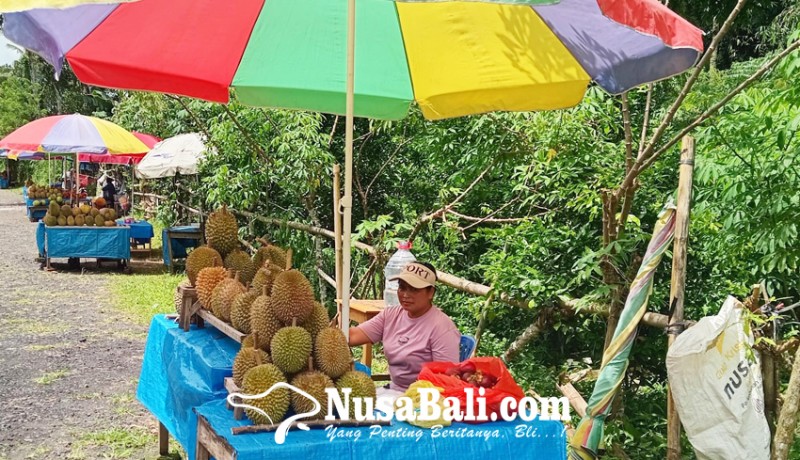 www.nusabali.com-liburan-nataru-pedagang-durian-bermunculan