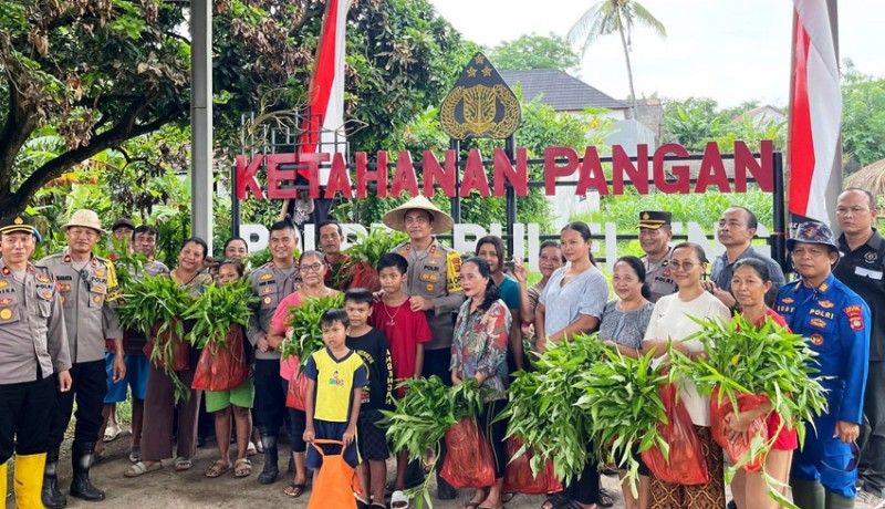 www.nusabali.com-panen-kebun-pangan-polres-buleleng-bagikan-sayuran-ke-warga