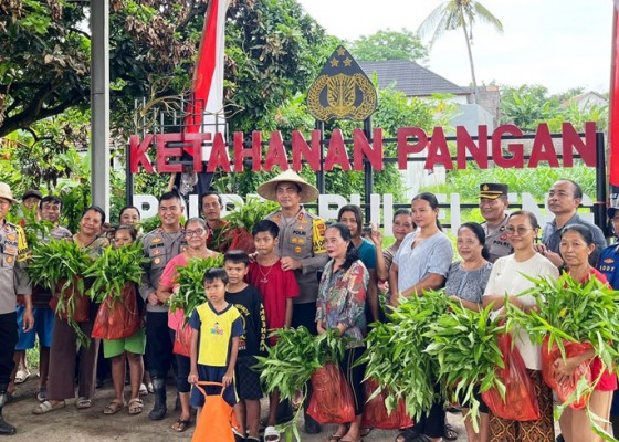 Nusabali.com - panen-kebun-pangan-polres-buleleng-bagikan-sayuran-ke-warga