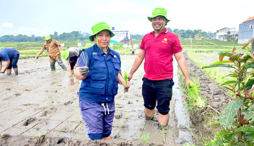 Distan Tabanan Sambut Kenaikan Harga Gabah