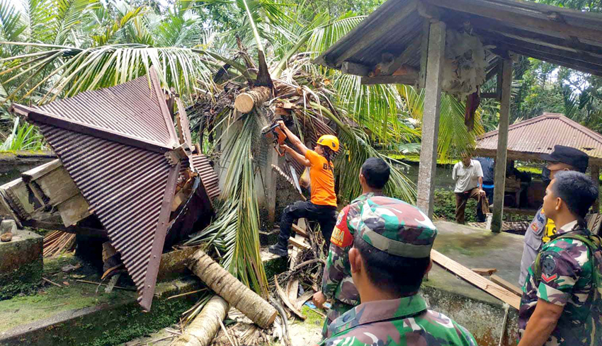 Pohon di Jungutan Timpa 5 Palinggih