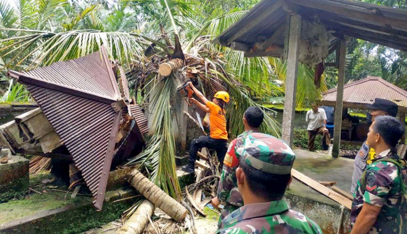 www.nusabali.com-pohon-di-jungutan-timpa-5-palinggih