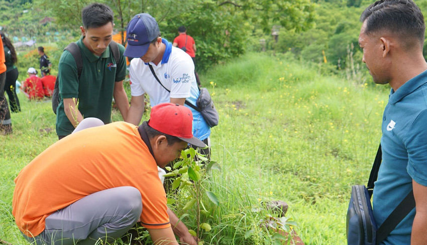 Kawasan Bukit Kursi Dihijaukan dengan 100 Pohon Beringin