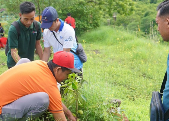 Nusabali.com - kawasan-bukit-kursi-dihijaukan-dengan-100-pohon-beringin