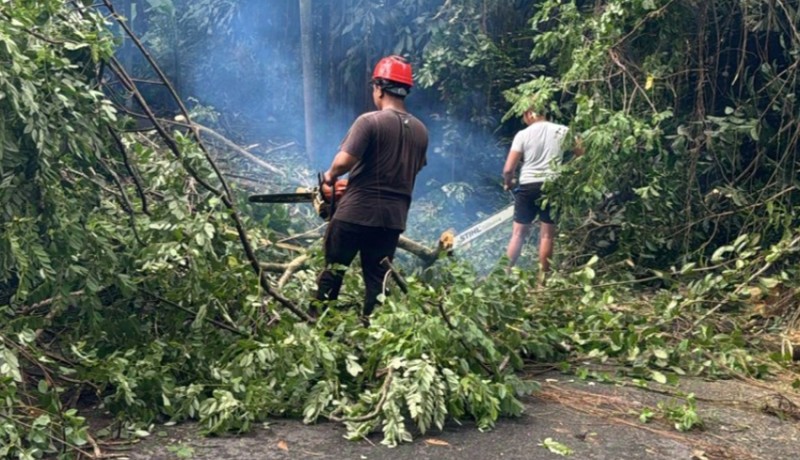 www.nusabali.com-pohon-tumbang-dan-longsor-tutup-akses-jalan