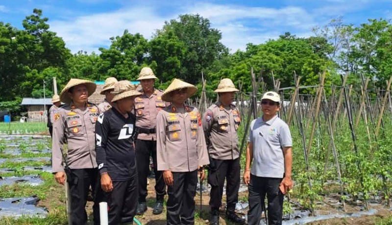 www.nusabali.com-polsek-kubu-motivasi-warga-kembangkan-ketahanan-pangan