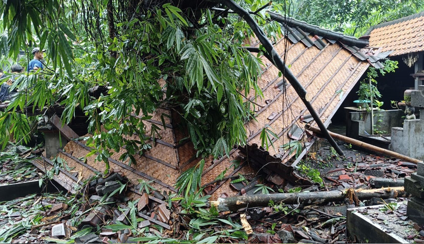 Pohon Roboh Timpa Pura di Kerobokan Kaja