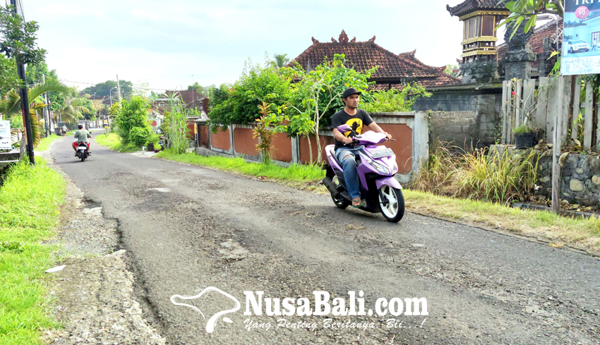 Sepanjang 214 Kilometer Jalan Kabupaten di Jembrana Rusak