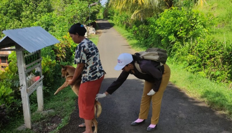 www.nusabali.com-awal-tahun-satu-kasus-rabies-di-berangbang