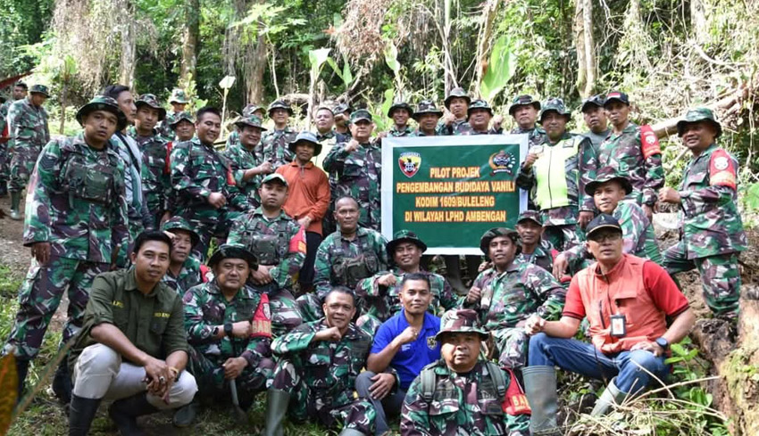 Budidaya Vanili Manfaatkan LPHD Seluas 2 Hektare