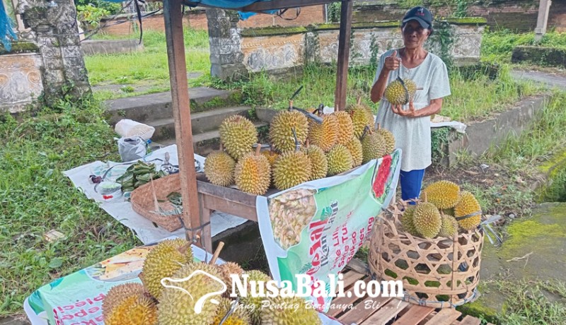 www.nusabali.com-musim-durian-warga-jual-buah-di-pinggir-jalan