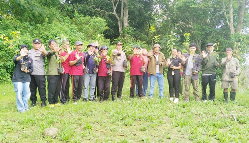 www.nusabali.com-ratusan-bibit-pohon-ditanam-di-hutan-pakisan-untuk-cegah-longsor