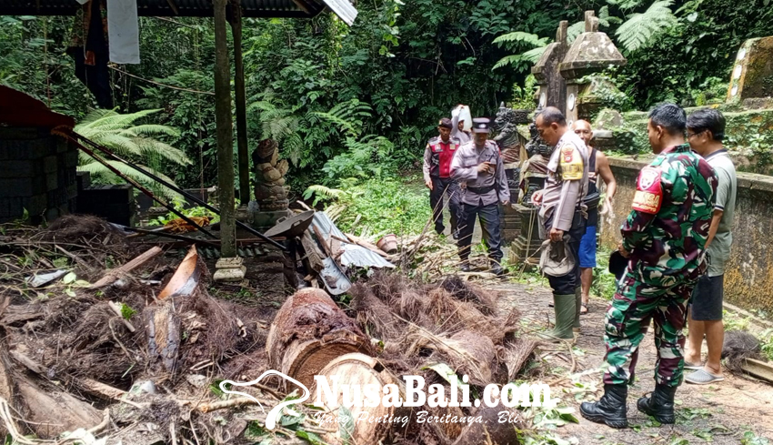 www.nusabali.com-pohon-tumbang-rusak-bale-patok-pura-beji