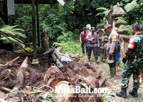 Nusabali.com - pohon-tumbang-rusak-bale-patok-pura-beji