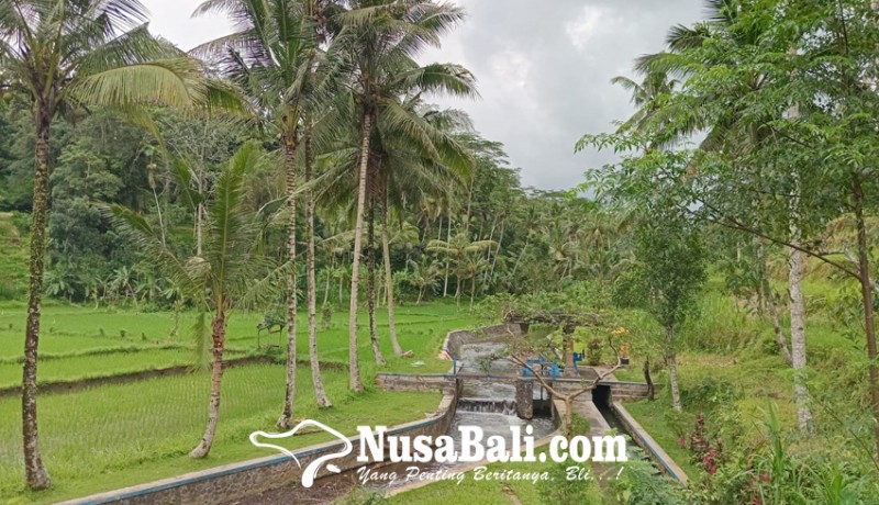 www.nusabali.com-selain-kintamani