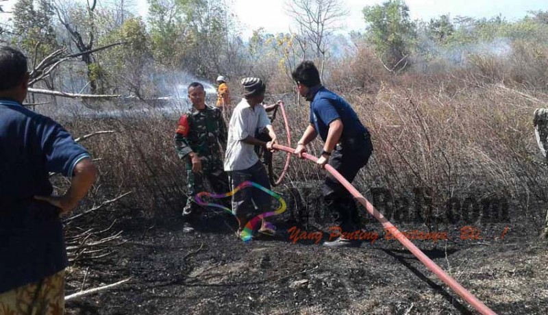 www.nusabali.com-lahan-di-banjar-lebah-terbakar