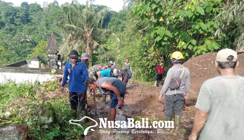 www.nusabali.com-longsor-dan-3-pohon-tumbang-di-tangkup