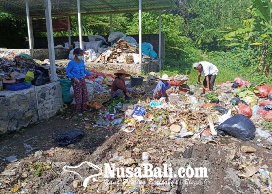 Nusabali.com - tegallinggah-kelola-sampah-mandiri