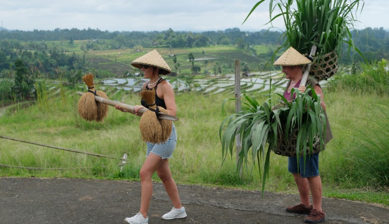 www.nusabali.com-desa-penggerak-pariwisata-bali